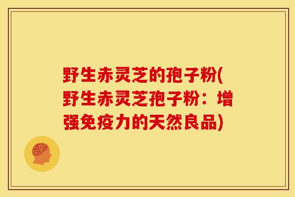 野生赤灵芝的孢子粉(野生赤灵芝孢子粉：增强免疫力的天然良品)
