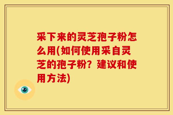 采下来的灵芝孢子粉怎么用(如何使用采自灵芝的孢子粉?建议和使用方法) 采下来的灵芝孢子粉怎么用(如何使用采自灵芝的孢子粉?建议和使用方法)