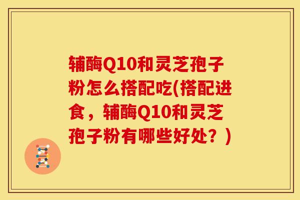辅酶Q10和灵芝孢子粉怎么搭配吃(搭配进食,辅酶Q10和灵芝孢子粉有哪些好处?) 辅酶Q10和灵芝孢子粉怎么搭配吃(搭配进食,辅酶Q10和灵芝孢子粉有哪些好处?)