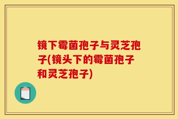 镜下霉菌孢子与灵芝孢子(镜头下的霉菌孢子和灵芝孢子) 镜下霉菌孢子与灵芝孢子(镜头下的霉菌孢子和灵芝孢子)