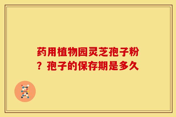 药用植物园灵芝孢子粉?孢子的保存期是多久 药用植物园灵芝孢子粉?孢子的保存期是多久