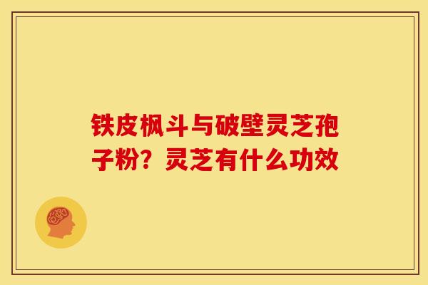 铁皮枫斗与破壁灵芝孢子粉？灵芝有什么功效