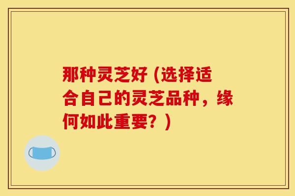 那种灵芝好 (选择适合自己的灵芝品种,缘何如此重要?) 那种灵芝好 (选择适合自己的灵芝品种,缘何如此重要?)