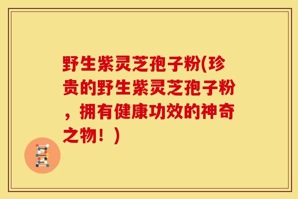 野生紫灵芝孢子粉(珍贵的野生紫灵芝孢子粉,拥有健康功效的神奇之物!) 野生紫灵芝孢子粉(珍贵的野生紫灵芝孢子粉,拥有健康功效的神奇之物!)