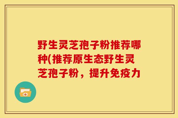 野生灵芝孢子粉推荐哪种(推荐原生态野生灵芝孢子粉，提升免疫力