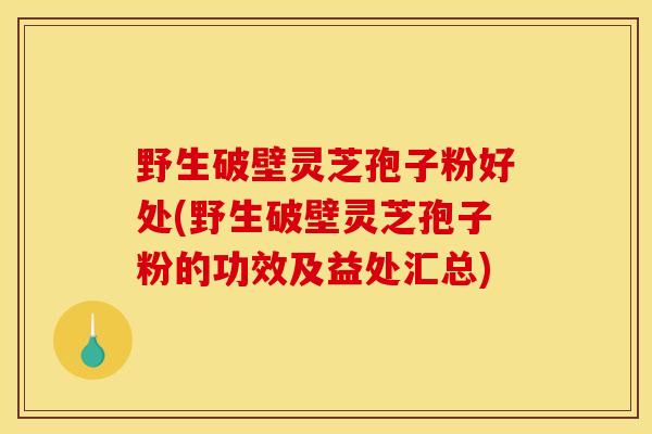 野生破壁灵芝孢子粉好处(野生破壁灵芝孢子粉的功效及益处汇总) 野生破壁灵芝孢子粉好处(野生破壁灵芝孢子粉的功效及益处汇总)