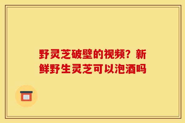 野灵芝破壁的视频?新鲜野生灵芝可以泡酒吗 野灵芝破壁的视频?新鲜野生灵芝可以泡酒吗