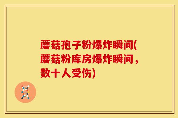 蘑菇孢子粉爆炸瞬间(蘑菇粉库房爆炸瞬间，数十人受伤)