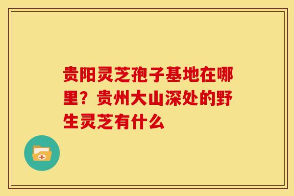 贵阳灵芝孢子基地在哪里?贵州大山深处的野生灵芝有什么 贵阳灵芝孢子基地在哪里?贵州大山深处的野生灵芝有什么