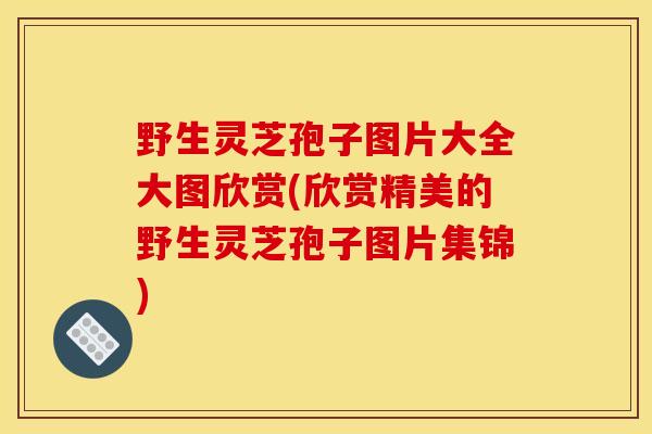 野生灵芝孢子图片大全大图欣赏(欣赏精美的野生灵芝孢子图片集锦) 野生灵芝孢子图片大全大图欣赏(欣赏精美的野生灵芝孢子图片集锦)