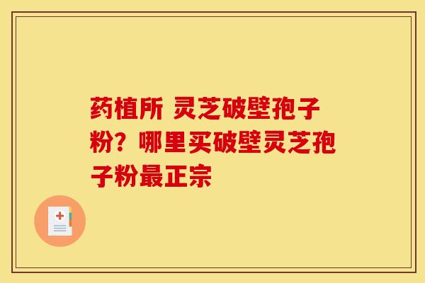 药植所 灵芝破壁孢子粉?哪里买破壁灵芝孢子粉正宗 药植所 灵芝破壁孢子粉?哪里买破壁灵芝孢子粉正宗