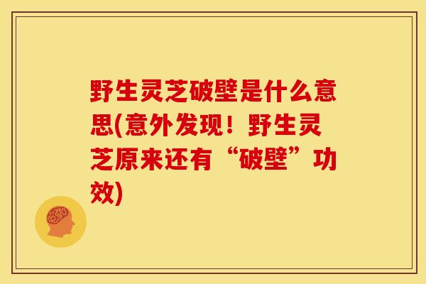 野生灵芝破壁是什么意思(意外发现!野生灵芝原来还有“破壁”功效) 野生灵芝破壁是什么意思(意外发现!野生灵芝原来还有“破壁”功效)
