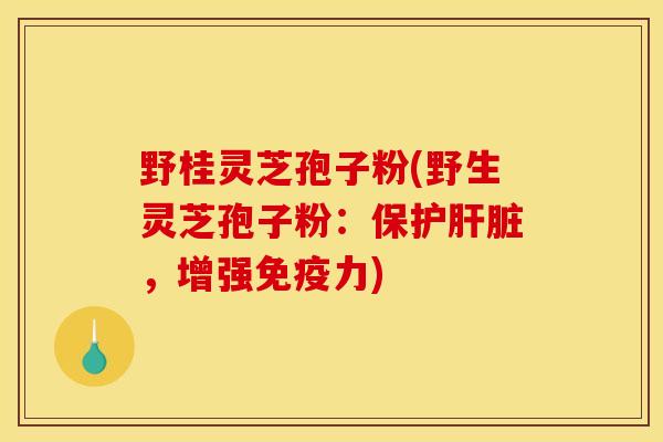 野桂灵芝孢子粉(野生灵芝孢子粉:保护,增强免疫力) 野桂灵芝孢子粉(野生灵芝孢子粉:保护,增强免疫力)