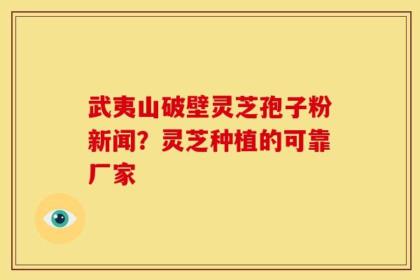 武夷山破壁灵芝孢子粉新闻?灵芝种植的可靠厂家 武夷山破壁灵芝孢子粉新闻?灵芝种植的可靠厂家