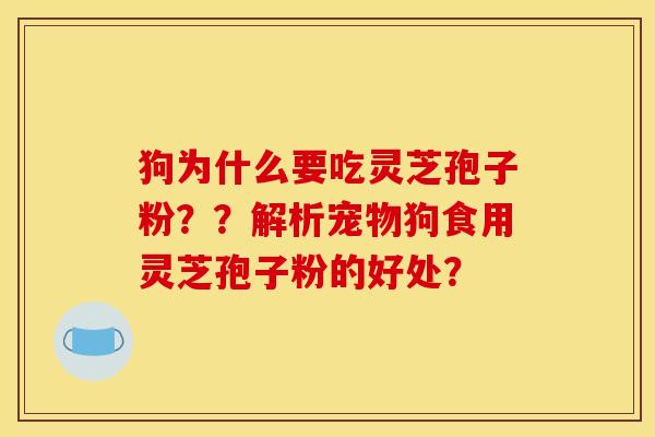 狗为什么要吃灵芝孢子粉??解析宠物狗食用灵芝孢子粉的好处? 狗为什么要吃灵芝孢子粉??解析宠物狗食用灵芝孢子粉的好处?