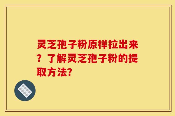 灵芝孢子粉原样拉出来？了解灵芝孢子粉的提取方法？