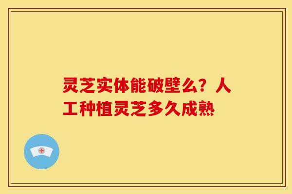 灵芝实体能破壁么？人工种植灵芝多久成熟