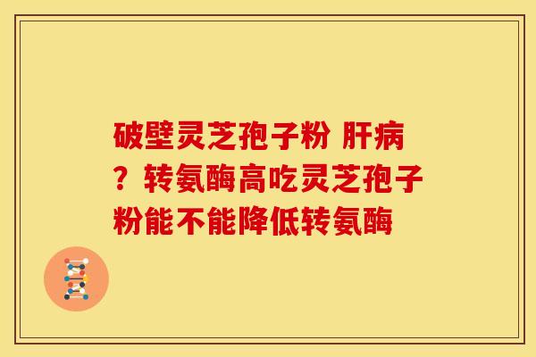 破壁灵芝孢子粉 ?转氨酶高吃灵芝孢子粉能不能降低转氨酶 破壁灵芝孢子粉 ?转氨酶高吃灵芝孢子粉能不能降低转氨酶