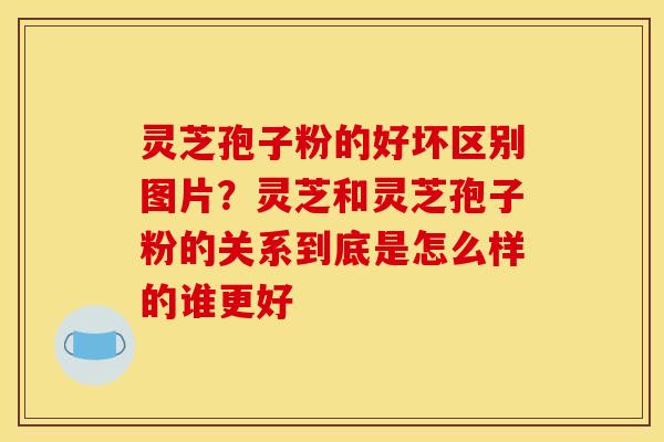 灵芝孢子粉的好坏区别图片？灵芝和灵芝孢子粉的关系到底是怎么样的谁更好