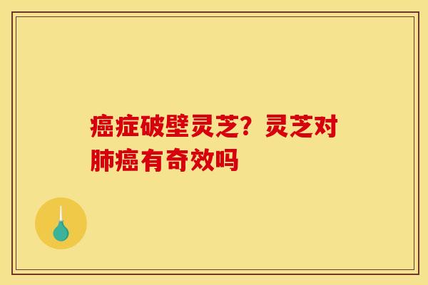 症破壁灵芝?灵芝对有奇效吗 症破壁灵芝?灵芝对有奇效吗