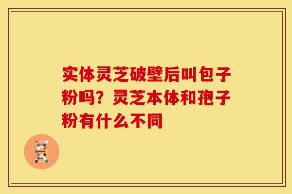 实体灵芝破壁后叫包子粉吗?灵芝本体和孢子粉有什么不同 实体灵芝破壁后叫包子粉吗?灵芝本体和孢子粉有什么不同