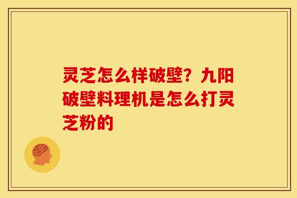 灵芝怎么样破壁？九阳破壁料理机是怎么打灵芝粉的
