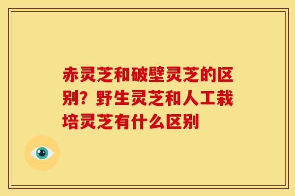赤灵芝和破壁灵芝的区别?野生灵芝和人工栽培灵芝有什么区别 赤灵芝和破壁灵芝的区别?野生灵芝和人工栽培灵芝有什么区别
