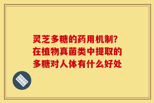 灵芝多糖的药用机制?在植物真菌类中提取的多糖对人体有什么好处 灵芝多糖的药用机制?在植物真菌类中提取的多糖对人体有什么好处