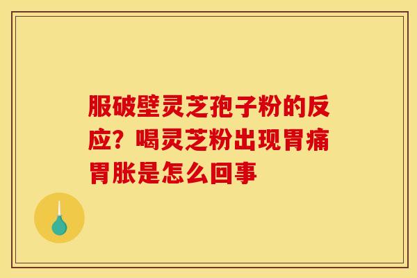 服破壁灵芝孢子粉的反应?喝灵芝粉出现胃痛胃胀是怎么回事 服破壁灵芝孢子粉的反应?喝灵芝粉出现胃痛胃胀是怎么回事