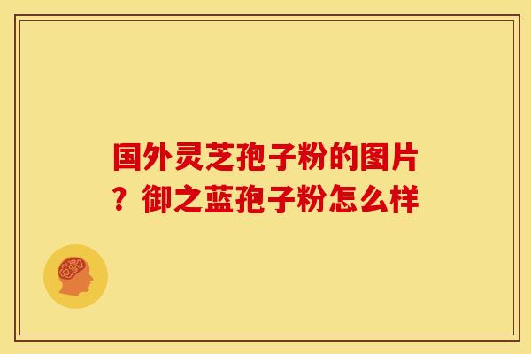 国外灵芝孢子粉的图片?御之蓝孢子粉怎么样 国外灵芝孢子粉的图片?御之蓝孢子粉怎么样