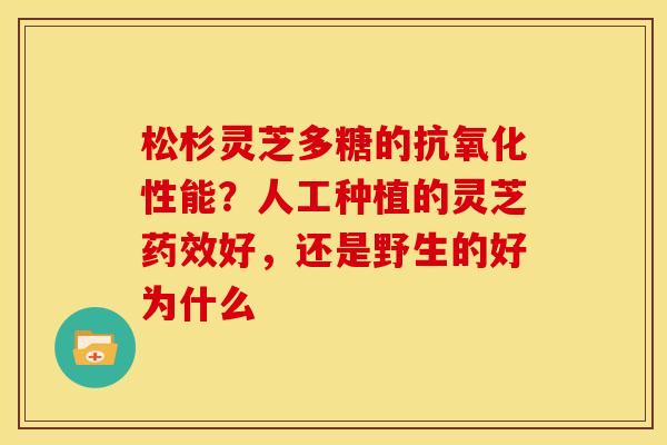 松杉灵芝多糖的性能?人工种植的灵芝好,还是野生的好为什么 松杉灵芝多糖的性能?人工种植的灵芝好,还是野生的好为什么