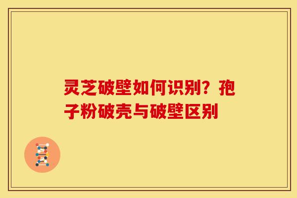灵芝破壁如何识别?孢子粉破壳与破壁区别 灵芝破壁如何识别?孢子粉破壳与破壁区别