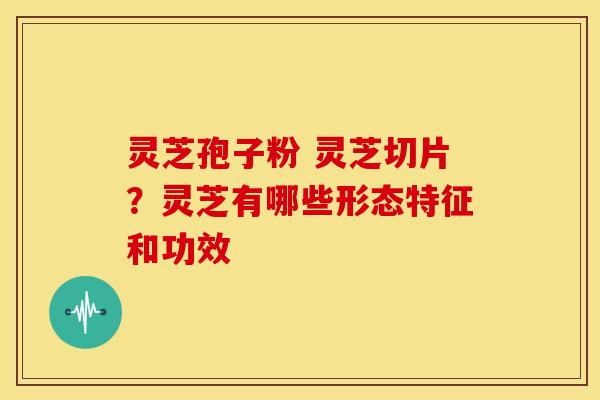 灵芝孢子粉 灵芝切片?灵芝有哪些形态特征和功效 灵芝孢子粉 灵芝切片?灵芝有哪些形态特征和功效