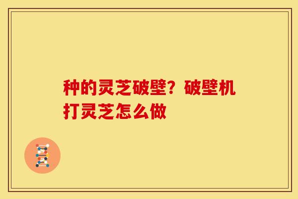 种的灵芝破壁?破壁机打灵芝怎么做 种的灵芝破壁?破壁机打灵芝怎么做
