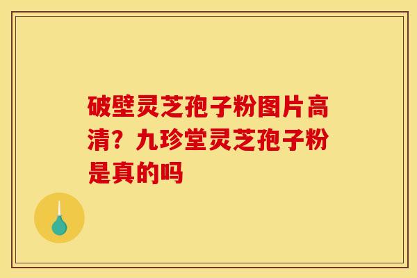 破壁灵芝孢子粉图片高清?九珍堂灵芝孢子粉是真的吗 破壁灵芝孢子粉图片高清?九珍堂灵芝孢子粉是真的吗