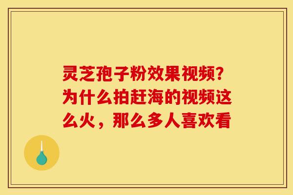 灵芝孢子粉效果视频?为什么拍赶海的视频这么火,那么多人喜欢看 灵芝孢子粉效果视频?为什么拍赶海的视频这么火,那么多人喜欢看