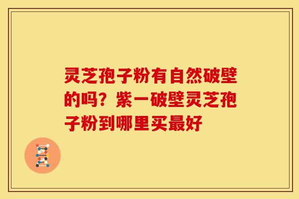 灵芝孢子粉有自然破壁的吗?紫一破壁灵芝孢子粉到哪里买好 灵芝孢子粉有自然破壁的吗?紫一破壁灵芝孢子粉到哪里买好