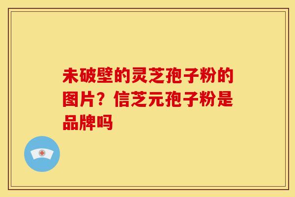 未破壁的灵芝孢子粉的图片?信芝元孢子粉是品牌吗 未破壁的灵芝孢子粉的图片?信芝元孢子粉是品牌吗
