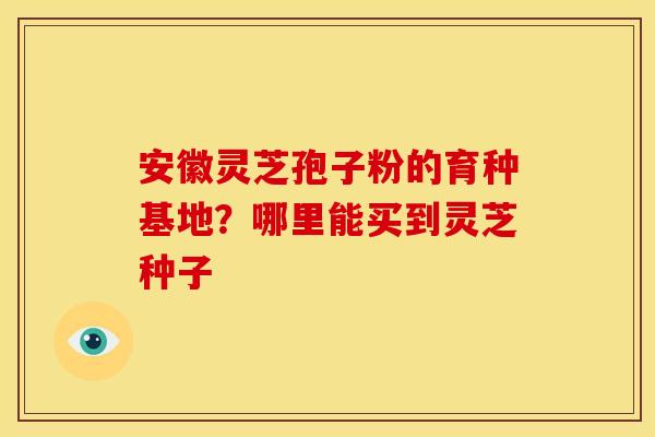 安徽灵芝孢子粉的育种基地？哪里能买到灵芝种子