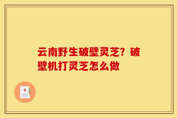 云南野生破壁灵芝？破壁机打灵芝怎么做