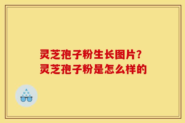 灵芝孢子粉生长图片？灵芝孢子粉是怎么样的