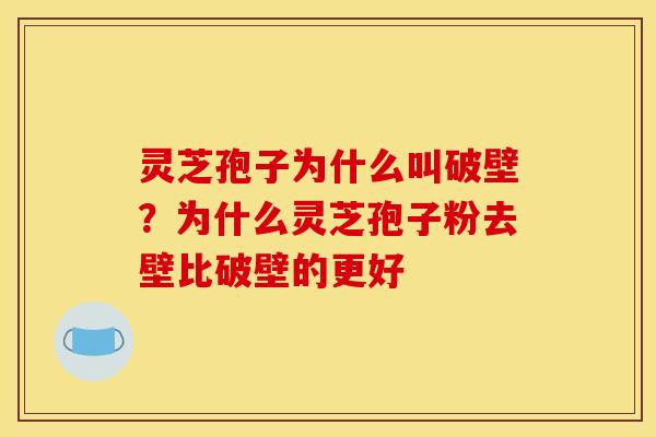 灵芝孢子为什么叫破壁?为什么灵芝孢子粉去壁比破壁的更好 灵芝孢子为什么叫破壁?为什么灵芝孢子粉去壁比破壁的更好