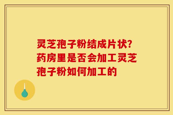 灵芝孢子粉结成片状？药房里是否会加工灵芝孢子粉如何加工的