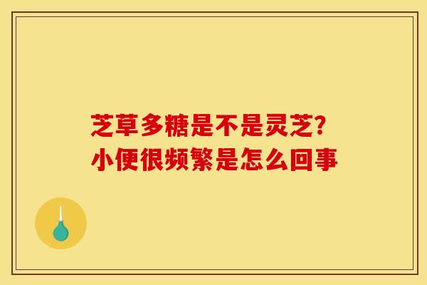 芝草多糖是不是灵芝?小便很频繁是怎么回事 芝草多糖是不是灵芝?小便很频繁是怎么回事