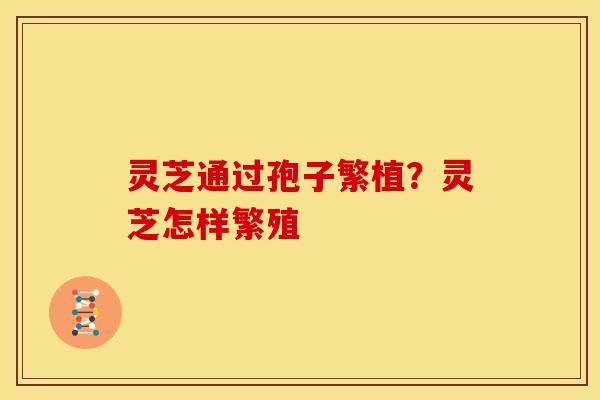 灵芝通过孢子繁植?灵芝怎样繁殖 灵芝通过孢子繁植?灵芝怎样繁殖