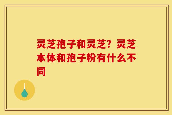 灵芝孢子和灵芝?灵芝本体和孢子粉有什么不同 灵芝孢子和灵芝?灵芝本体和孢子粉有什么不同