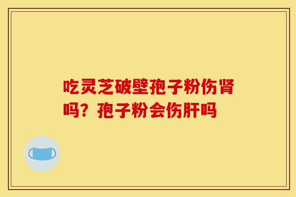 吃灵芝破壁孢子粉伤吗?孢子粉会伤吗 吃灵芝破壁孢子粉伤吗?孢子粉会伤吗