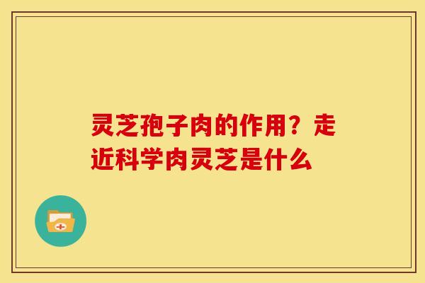 灵芝孢子肉的作用？走近科学肉灵芝是什么