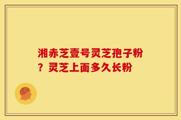 湘赤芝壹号灵芝孢子粉?灵芝上面多久长粉 湘赤芝壹号灵芝孢子粉?灵芝上面多久长粉