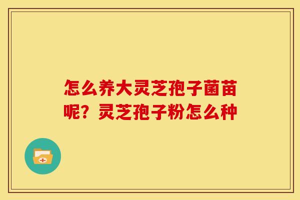 怎么养大灵芝孢子菌苗呢？灵芝孢子粉怎么种
